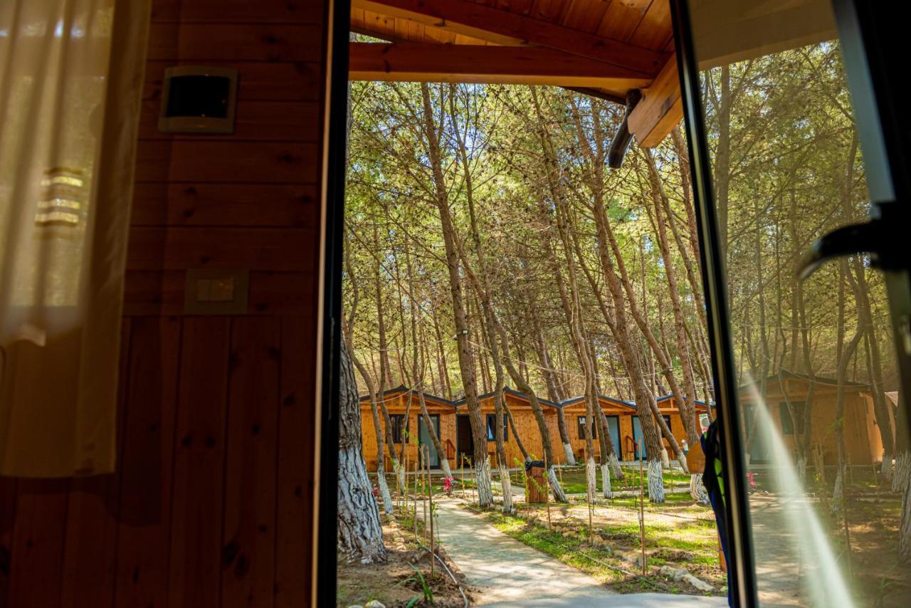 Zverneci Ecuador Resort מראה חיצוני תמונה