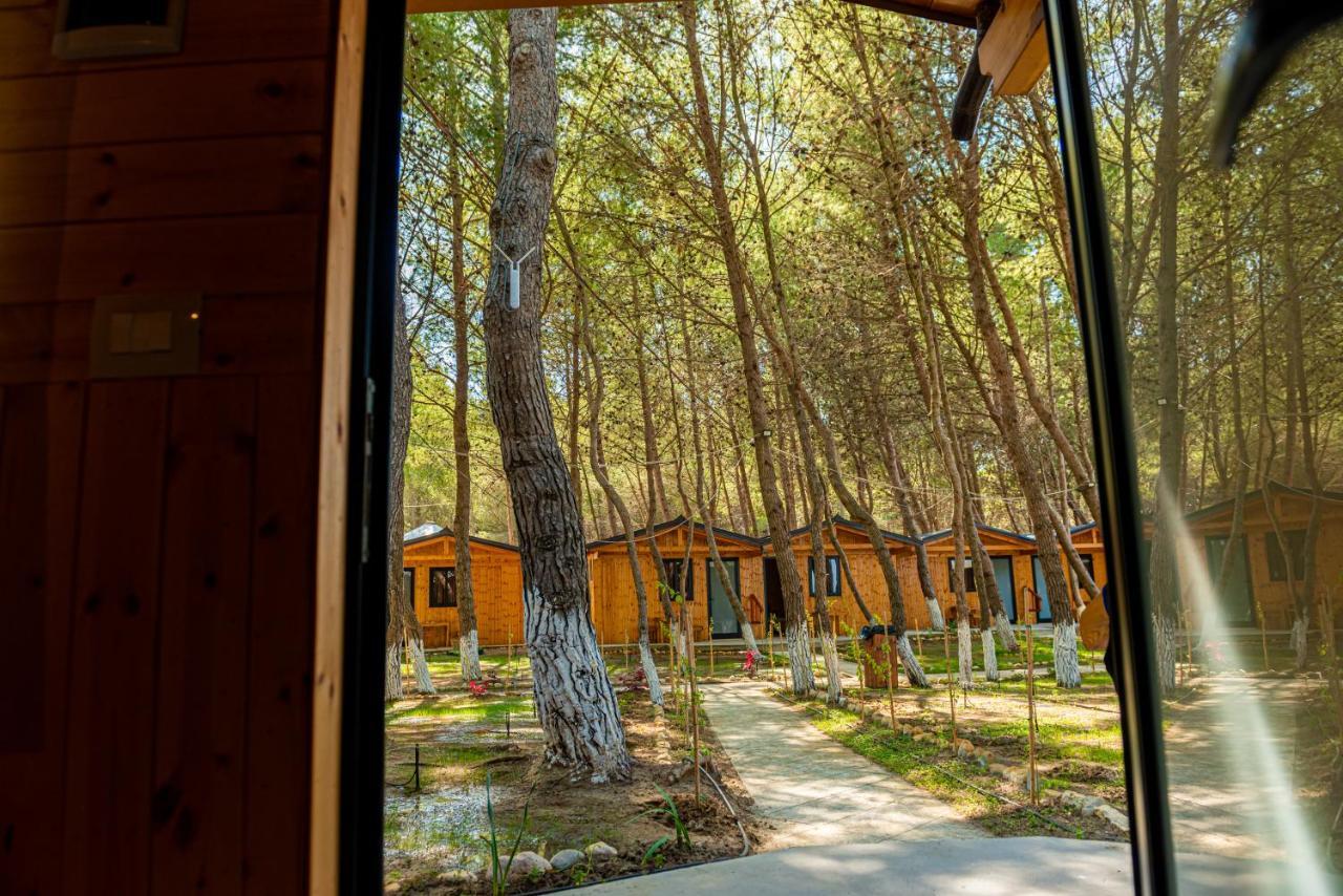 Zverneci Ecuador Resort מראה חיצוני תמונה