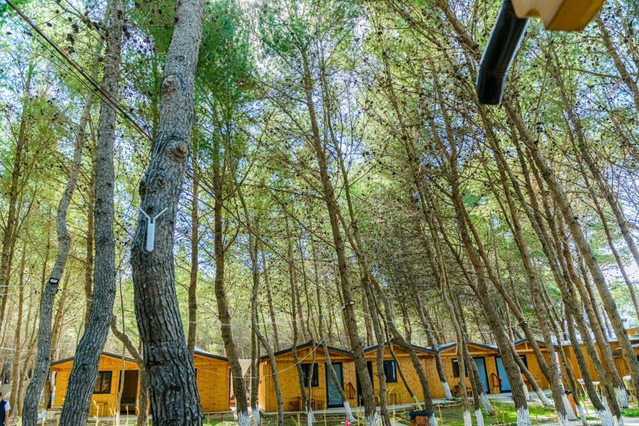 Zverneci Ecuador Resort מראה חיצוני תמונה